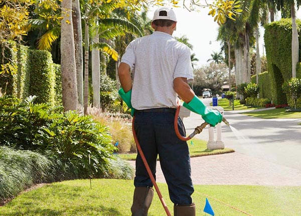About Mount Laguna CA Pest Control Pros